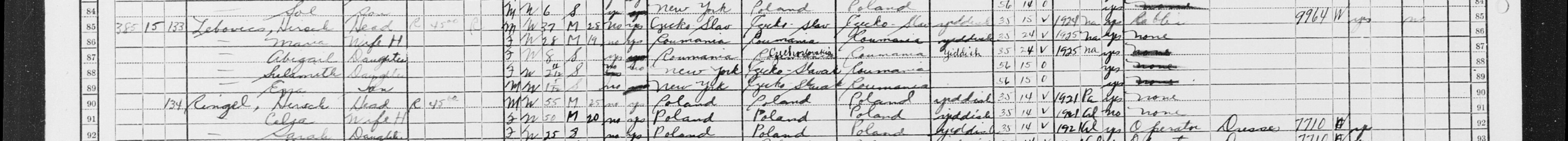The Lebovics household in the 1930 US Census, 385 E 3rd St, Manhattan