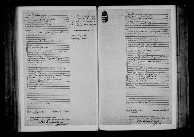 Ilona's Tetétlen birth record, 1906 (names Regina Klein)