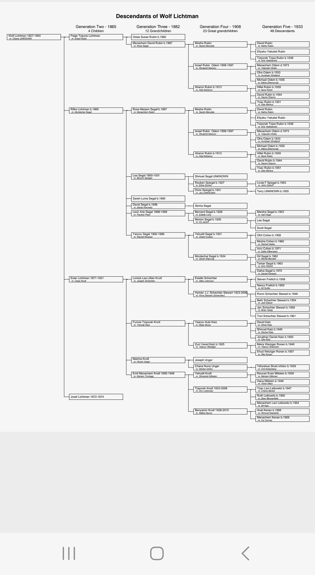 Descendants of Wolf Lichtman chart