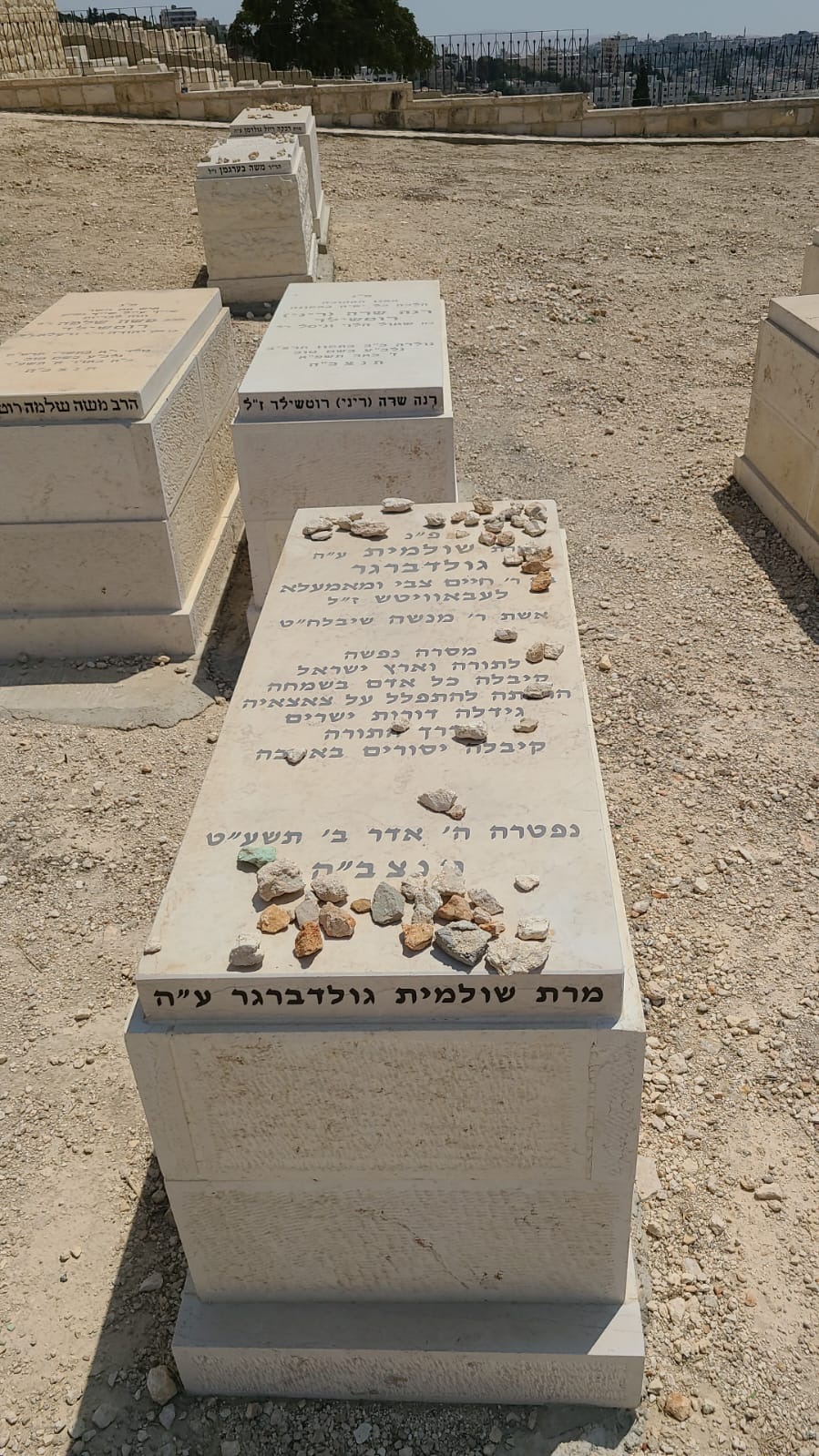 Sue Sulamith Goldberger matzevah, Mount of Olives